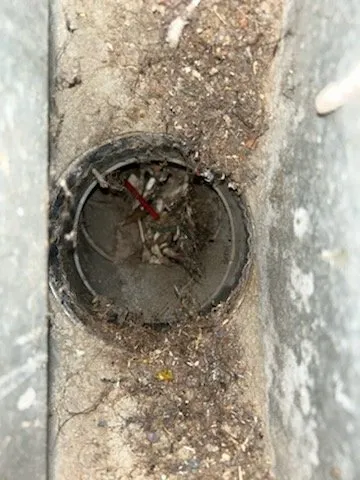 Dryer Vent Cleaning Greensboro NC